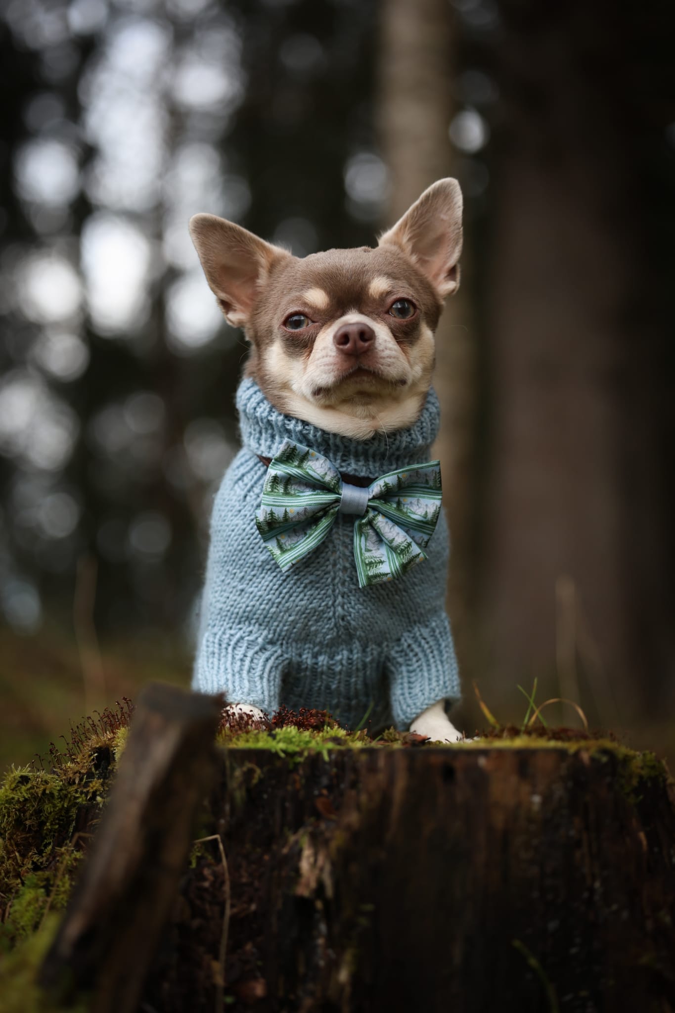 Sailor Bow Tie - Daydream Heights