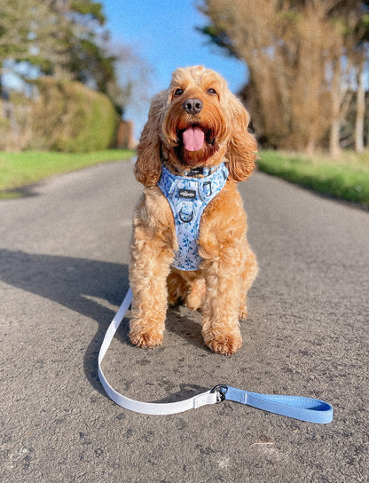 HydroFlex™ Two-tone Waterproof Dog Lead - Ice Blue