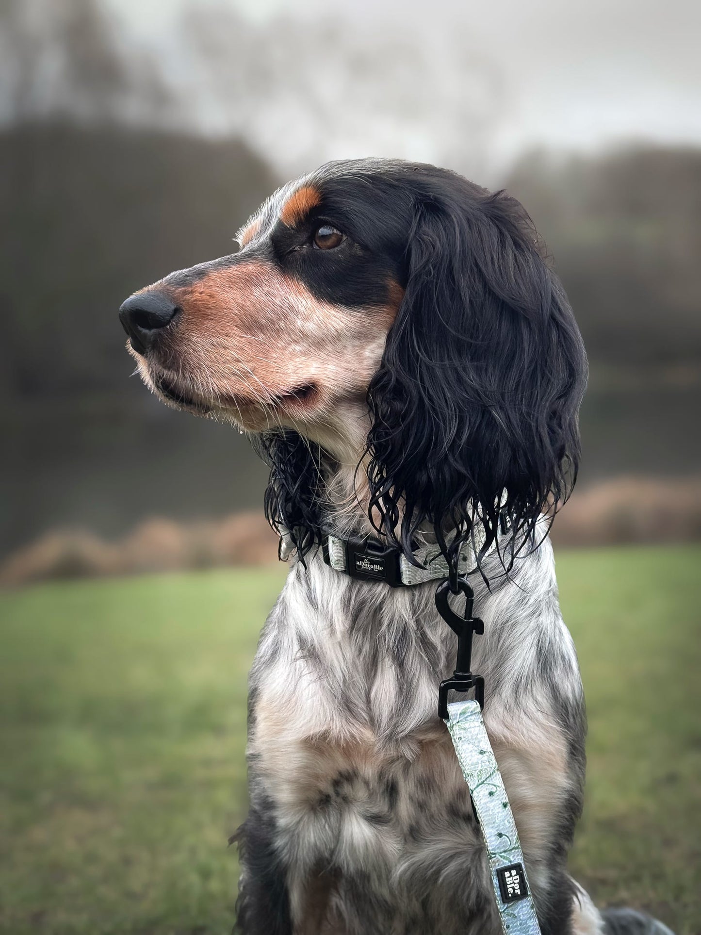 Dog Collar - Silent Snowdrops