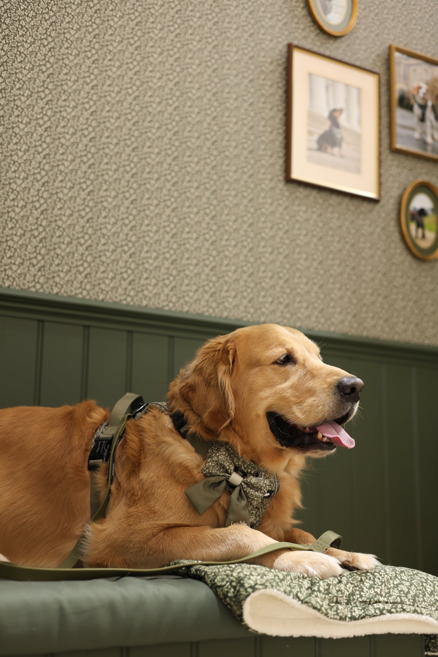 Laura Ashley Dog & Puppy Bed Blanket - Sweet Alyssum