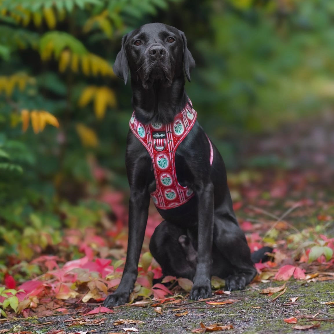 Adjustable Harness - Christmas Traditions