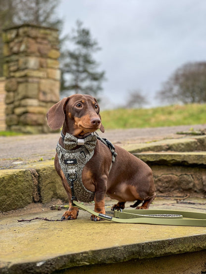 Laura Ashley Dog Harness - Sweet Alyssum