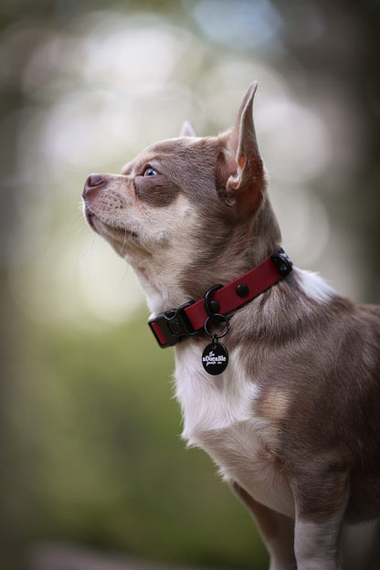 HydroFlex Lite™ Dog Collar - Merlot