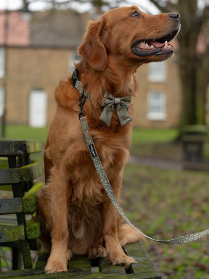 Laura Ashley Dog Sailor Bow Tie - Sweet Alyssum