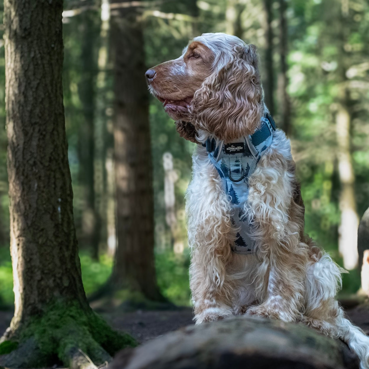 Hike & Go™ Harness - Fresh Pines