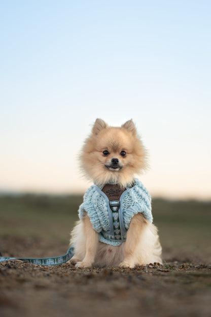 Streamline Pro™ Dog Harness - Daydream Heights