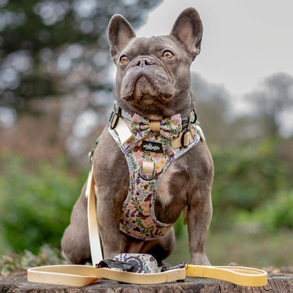 Bow Tie - Bumbles & Butterflies