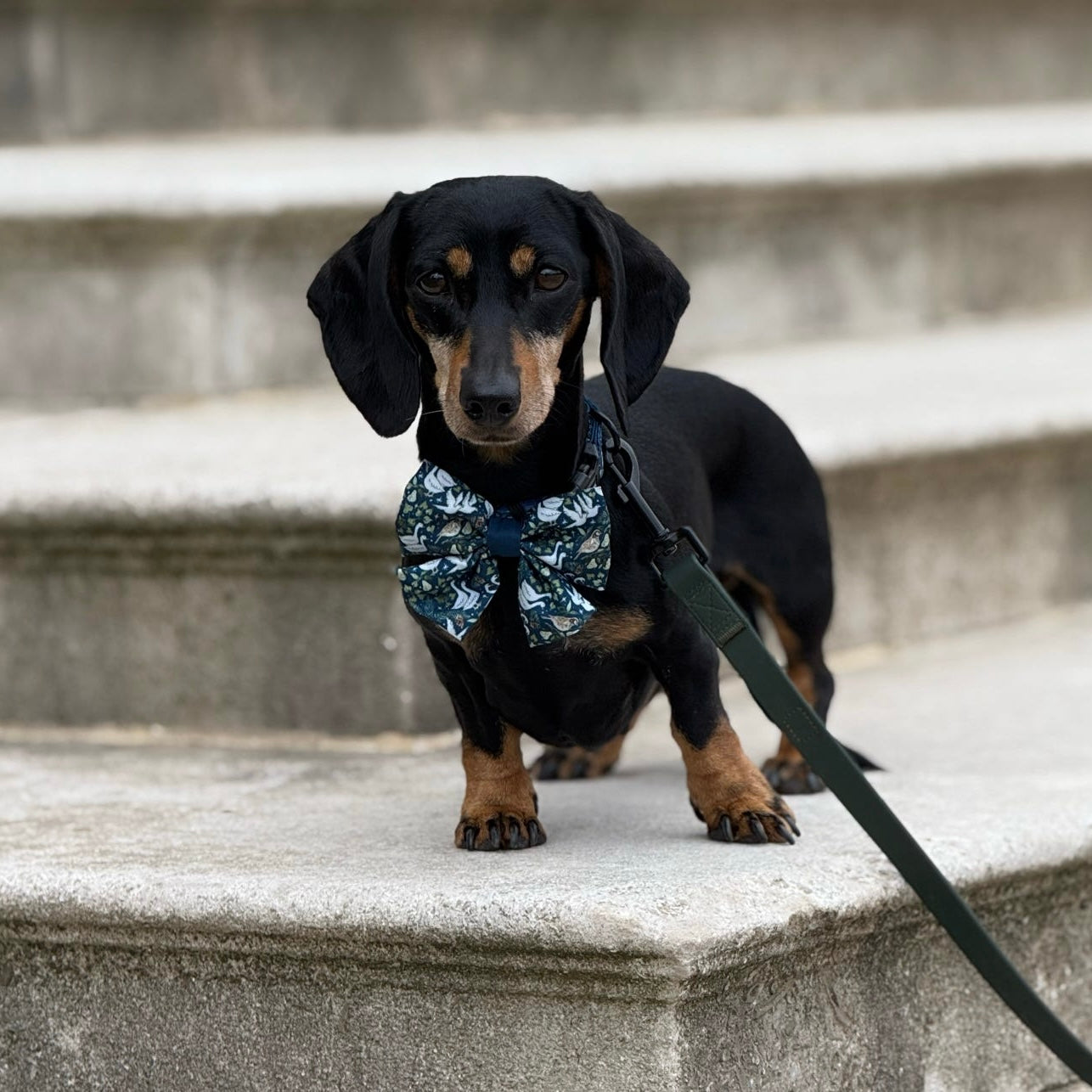 Sailor Bow Tie - Twelve Days