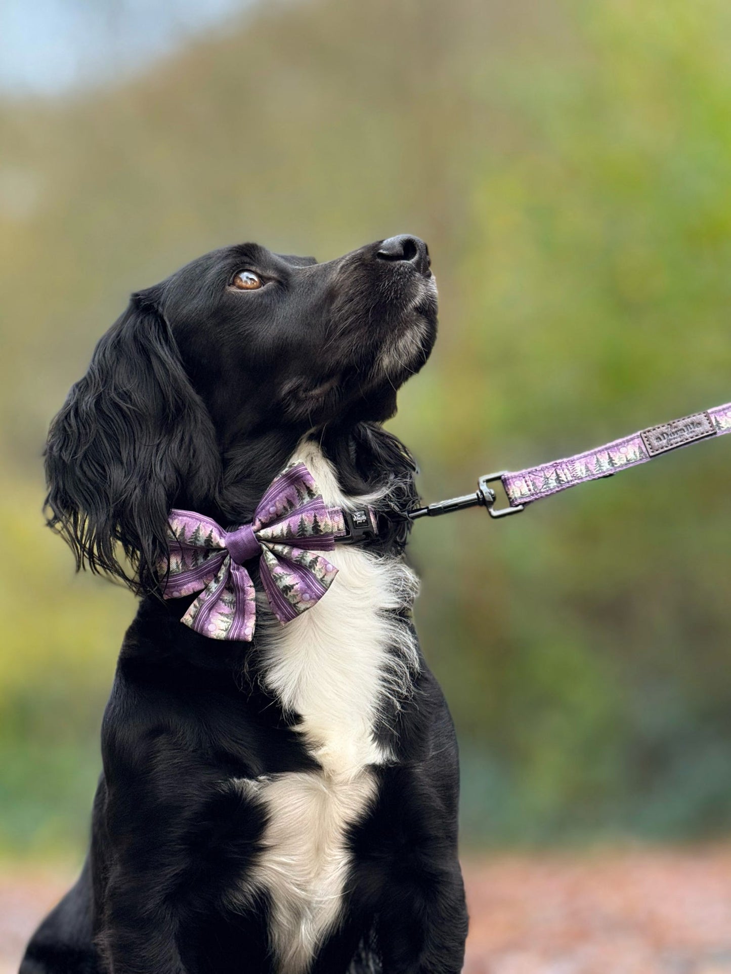 Sailor Bow Tie - Moonlit Pines