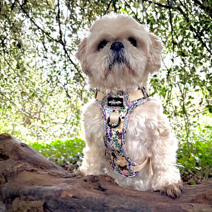 Hike & Go Lite™ Harness - Bumbles & Butterflies