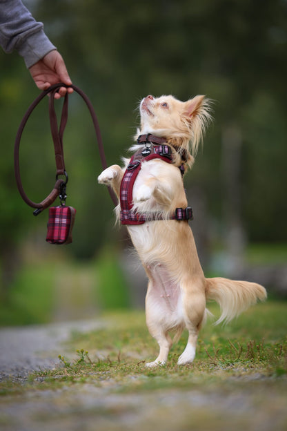 Heritage Faux Leather Rope Dog Lead - Brown