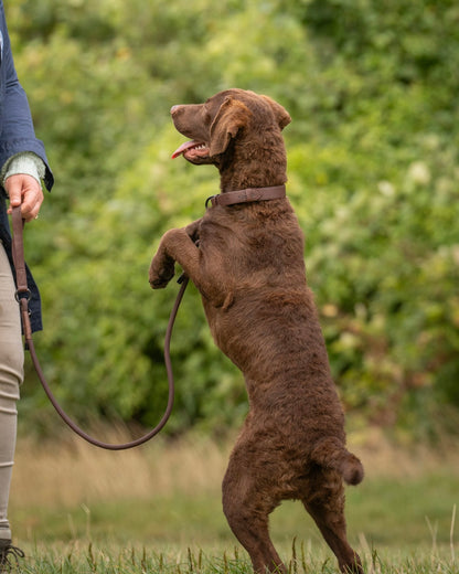 Heritage Faux Leather Rope Dog Lead - Brown