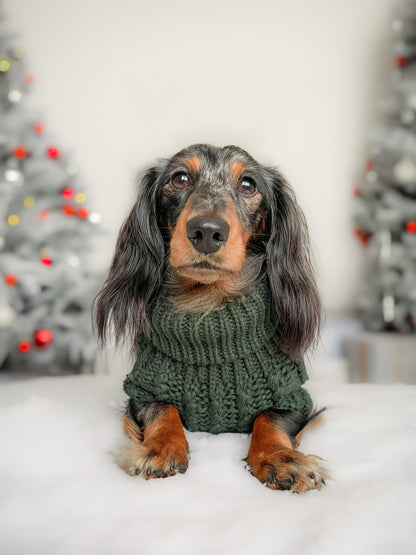 Hand Knitted Dachshund Jumper - Spruce Green