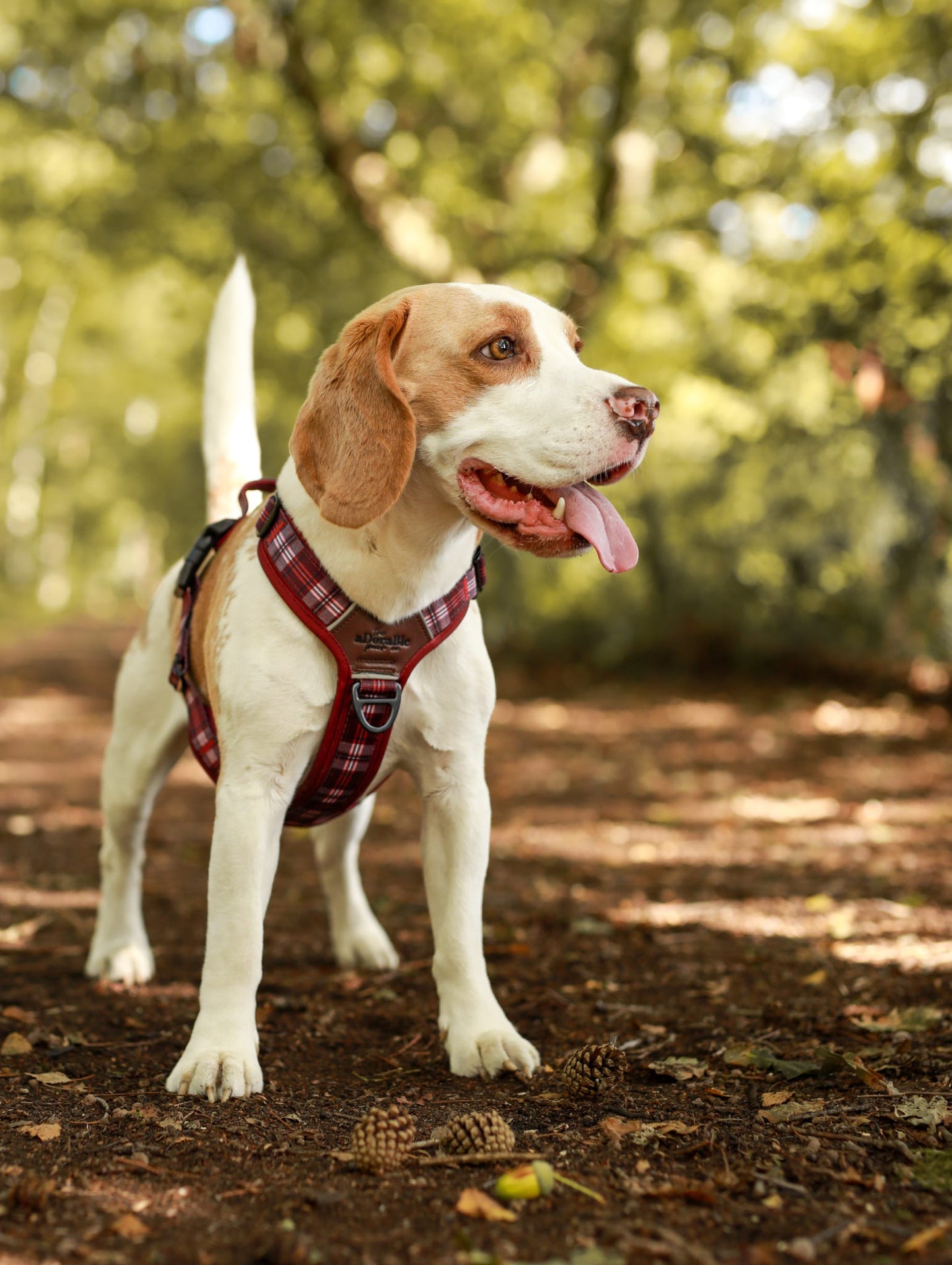 Streamline Pro™ Dog Harness - Heritage Collection - Merlot Manor