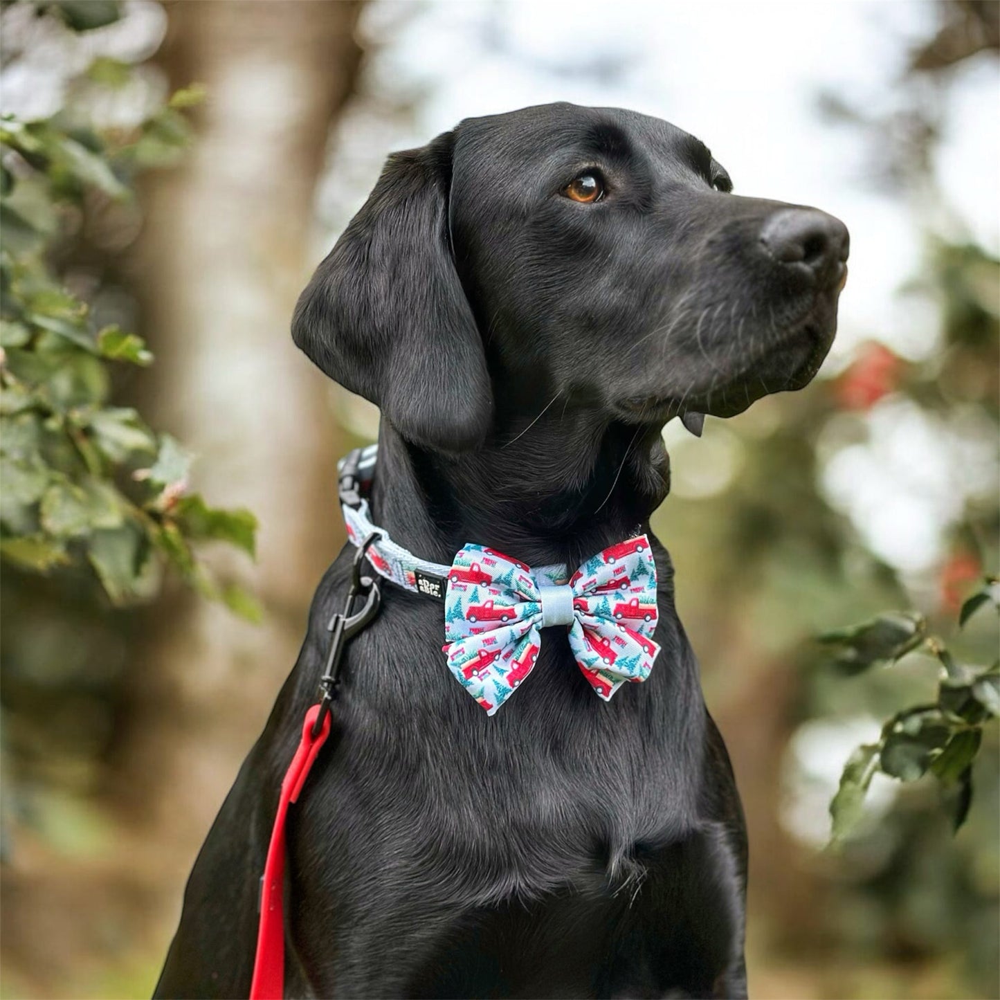 Sailor Bow Tie - Christmas Tree Farm