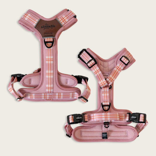 Streamline Pro™ Dog Harness - Heritage Collection - Strawberry Cottage