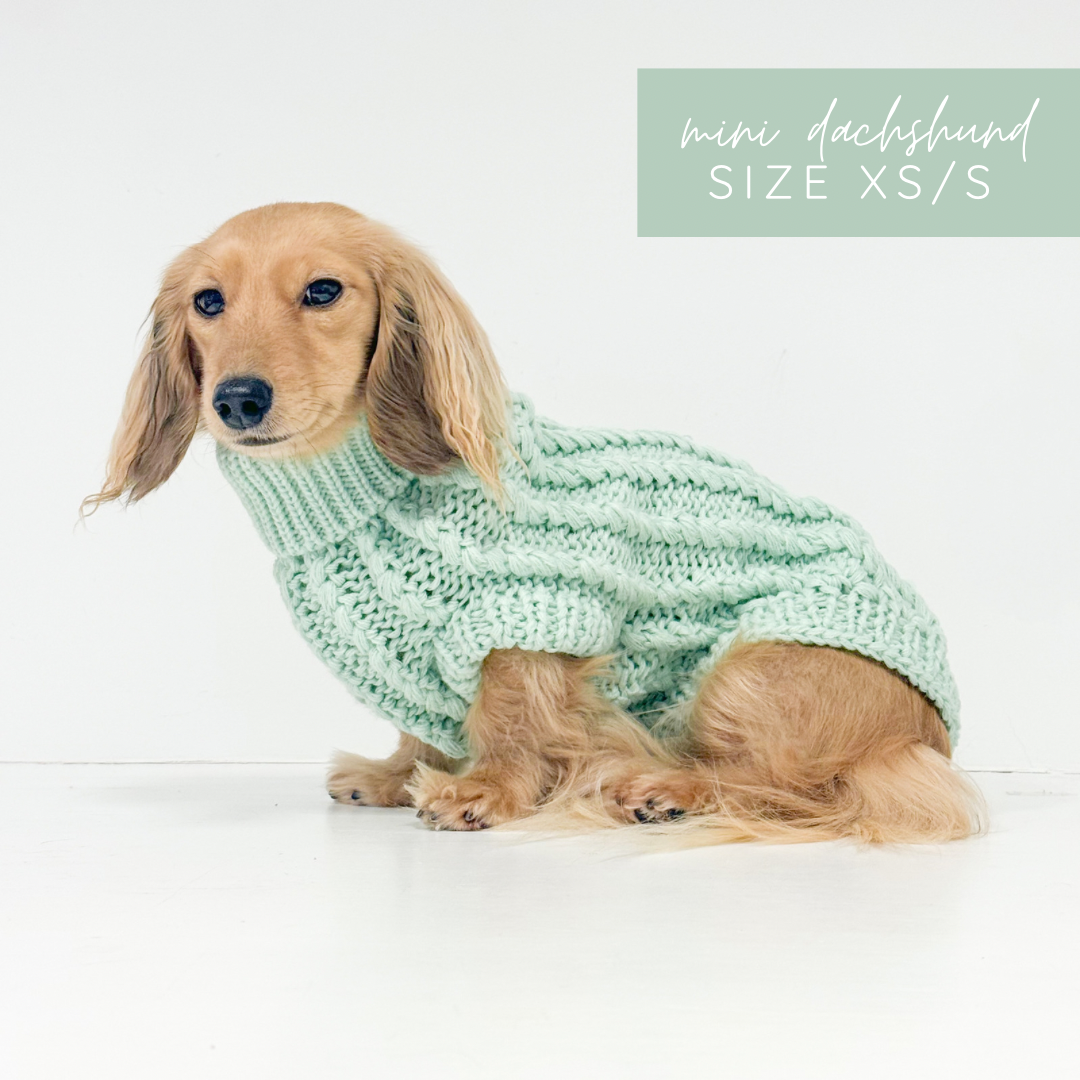 Hand Knitted Dachshund Jumper - Frosted Mint