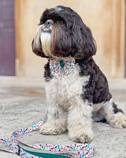 Lead - Festive Lights