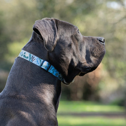 Dog Collar - Willow Waters