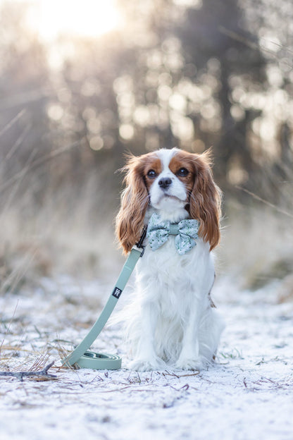 Dog Sailor Bow Tie - Silent Snowdrops