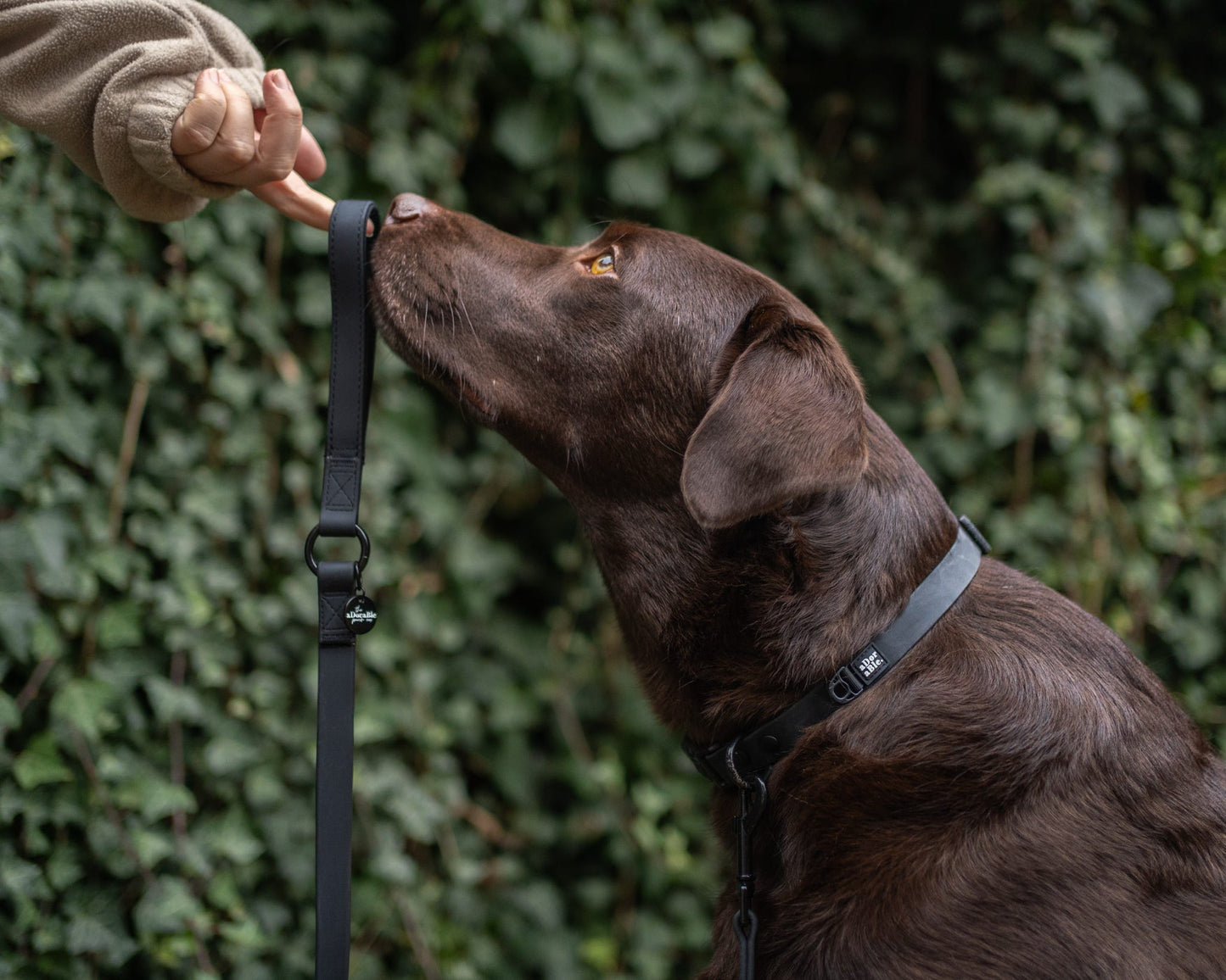 HydroFlex™ Waterproof Dog Lead - Black