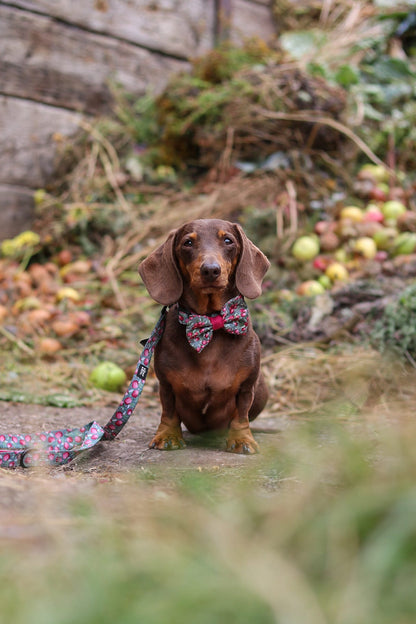 Bow Tie - Crab Apple Cottage