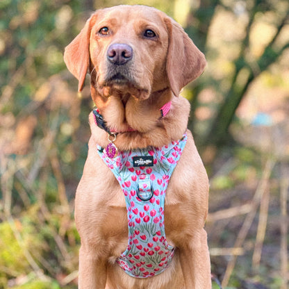 Hike & Go Lite™ Harness - Timeless Tulips