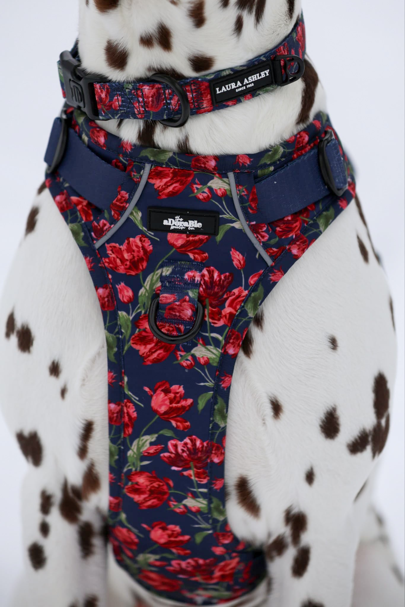 Laura Ashley Dog Harness - Gosford Meadow