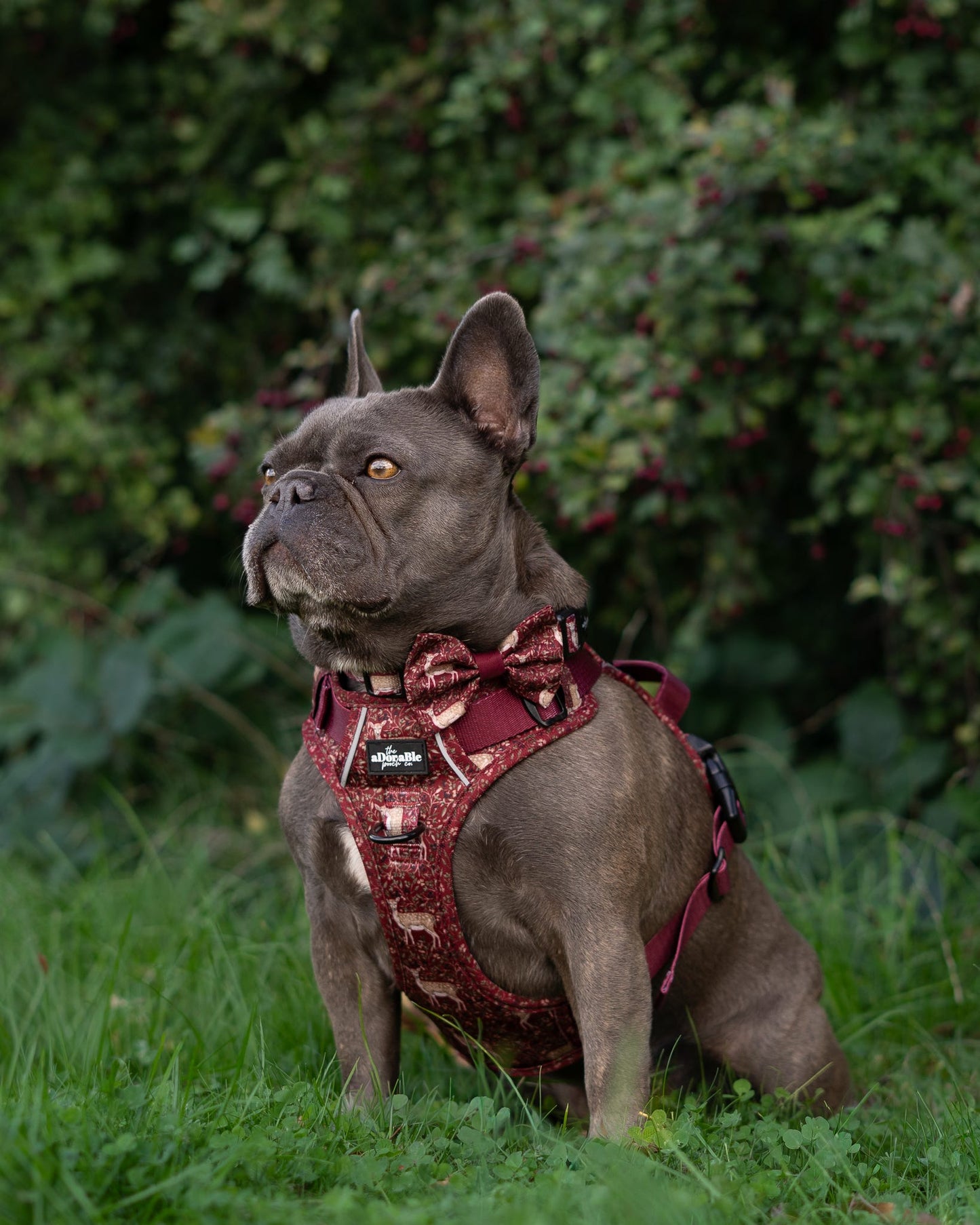 Bow Tie - Winter Fawn