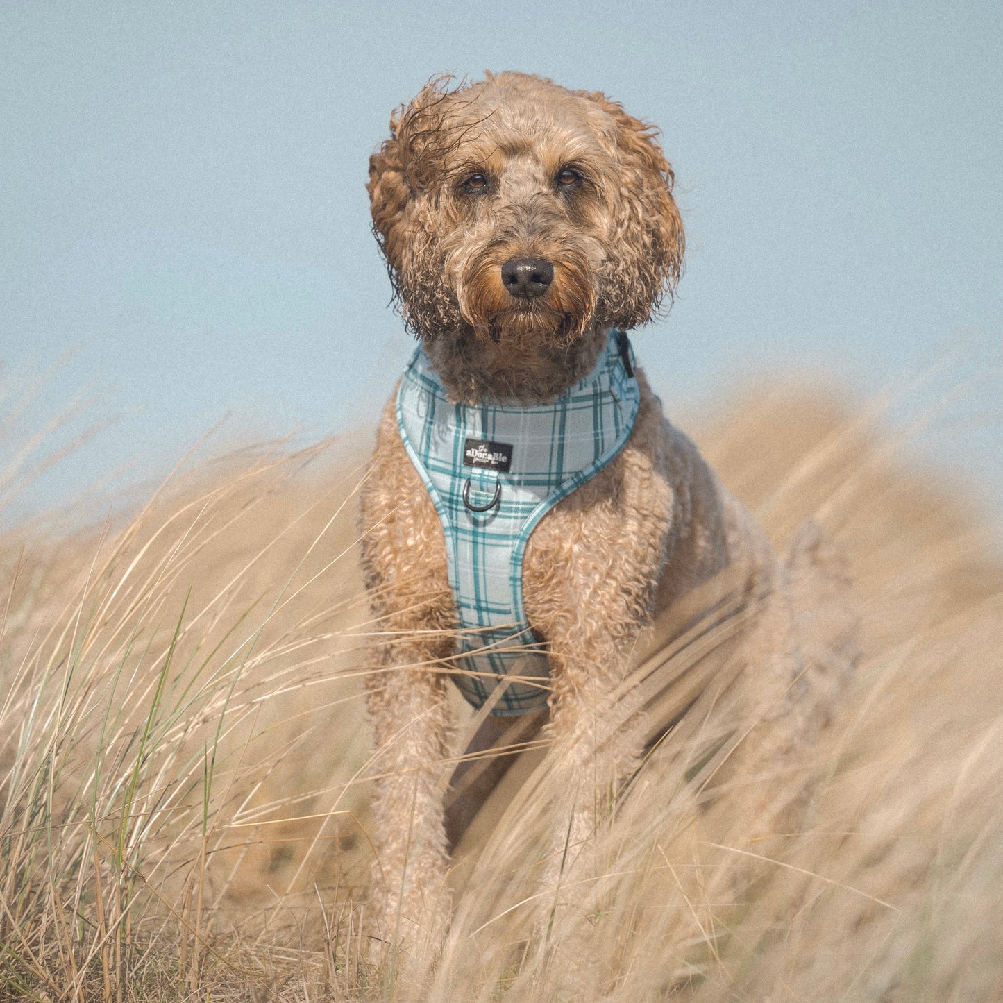 Adjustable Harness - LUXE Frosted Mint Plaid