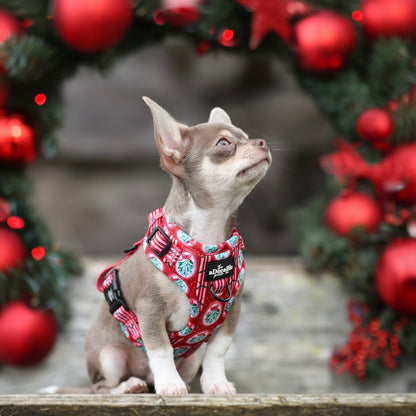 Adjustable Harness - Christmas Traditions