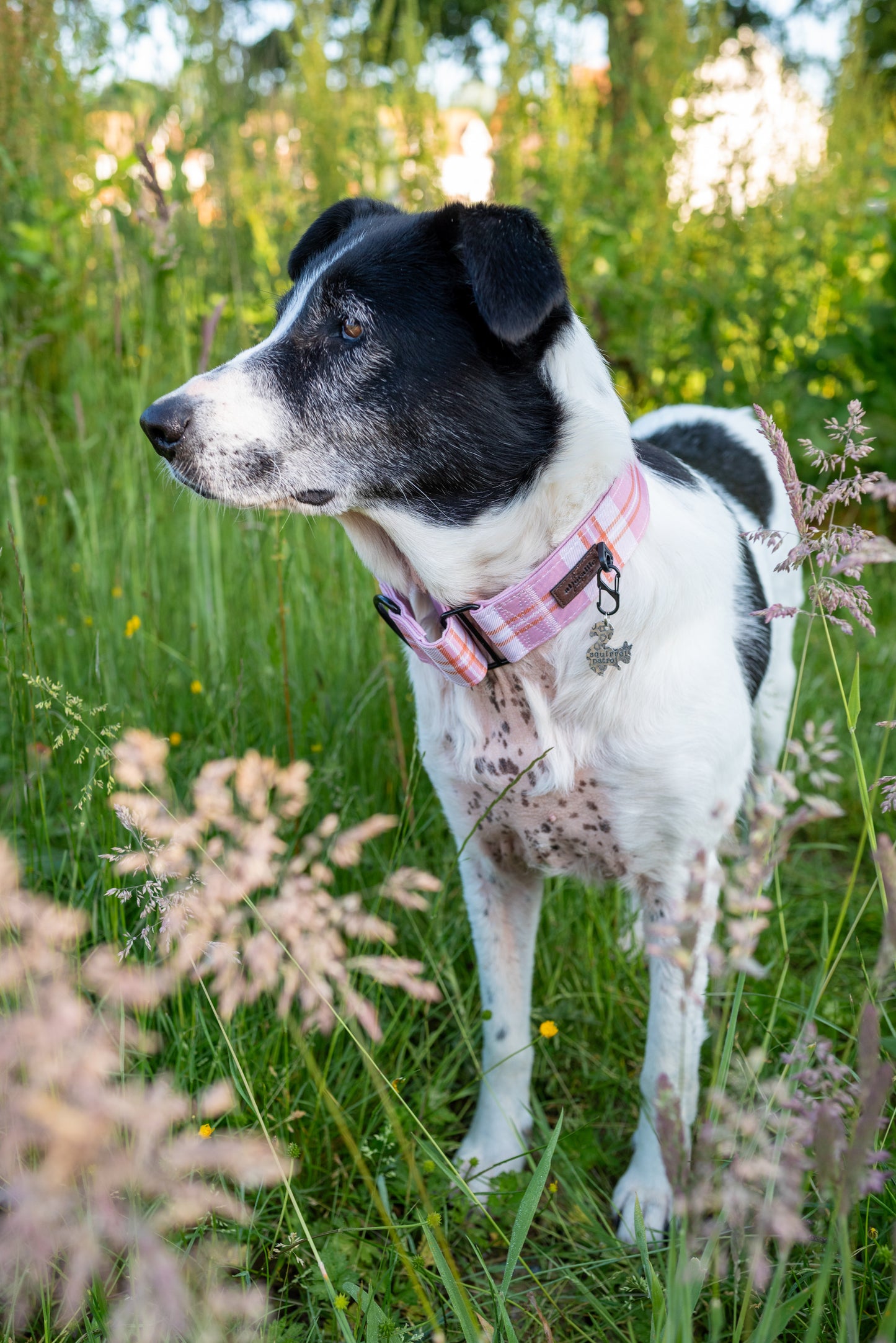 Heritage Martingale Collar - Strawberry Cottage