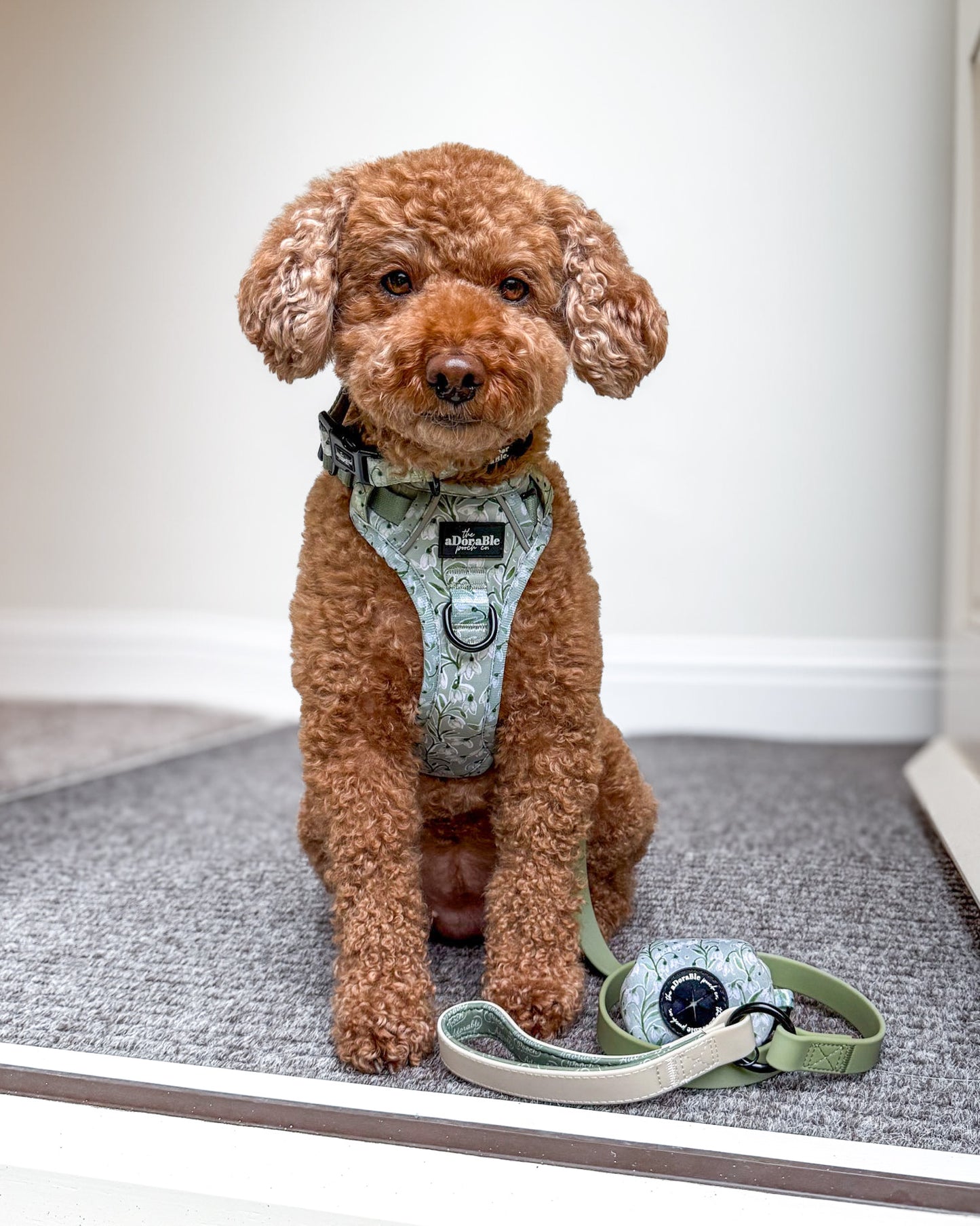 Hike & Go Lite™ Harness - Silent Snowdrops