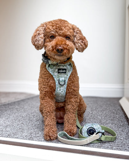 Hike & Go Lite™ Harness - Silent Snowdrops