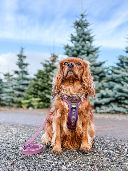 Streamline Pro™ Dog Harness - Moonlit Pines