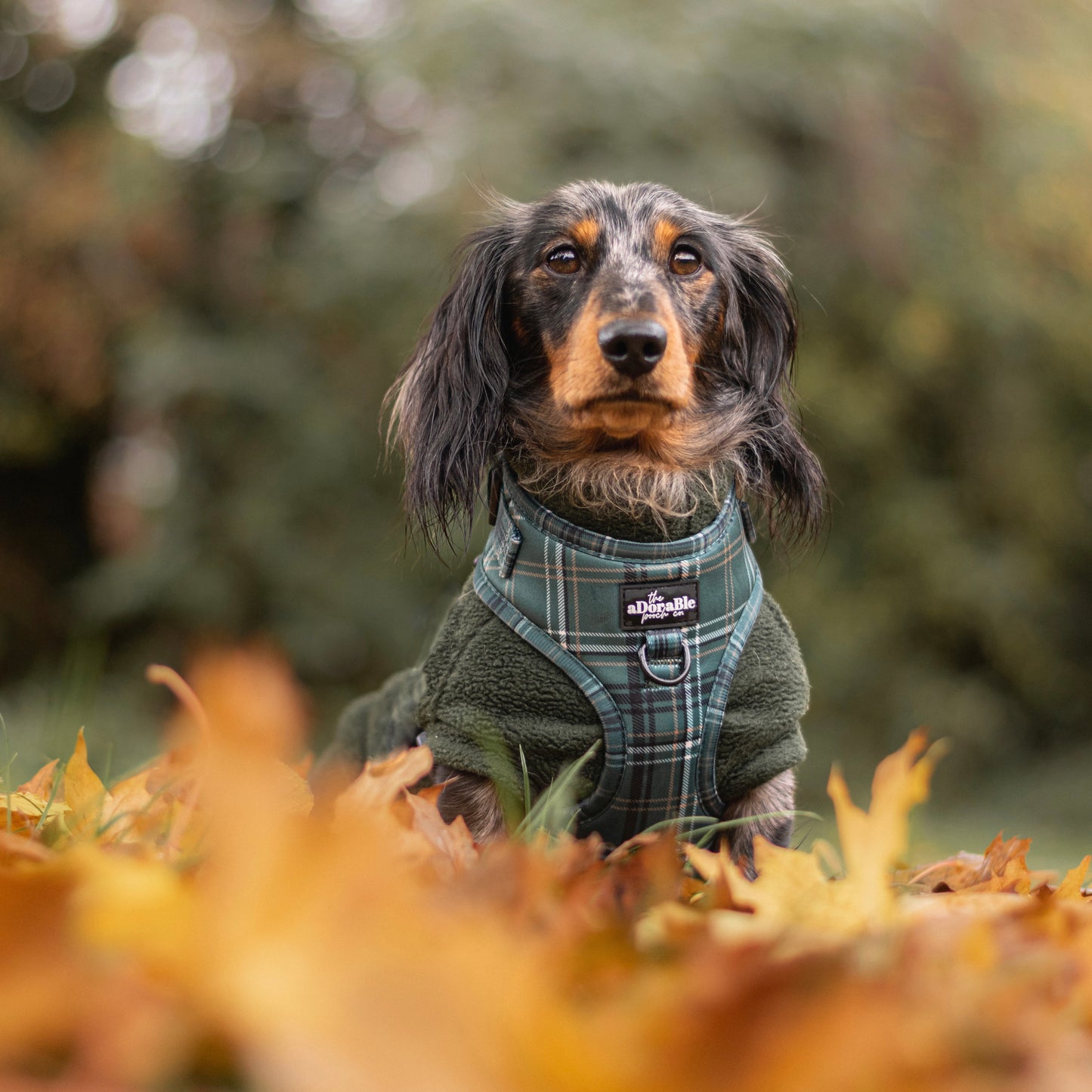 Adjustable Harness - LUXE Hunter Green Plaid