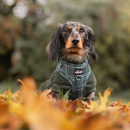 Adjustable Harness - LUXE Hunter Green Plaid