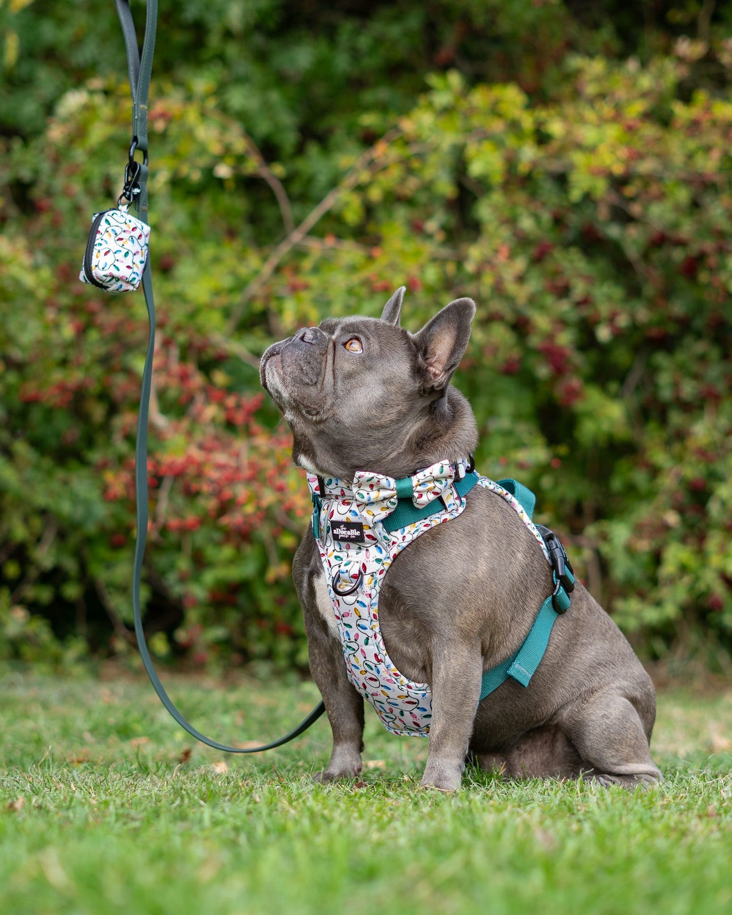 Poop Bag Holder - Festive Lights