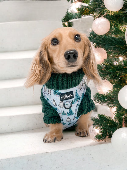 Hand Knitted Dachshund Jumper - Spruce Green