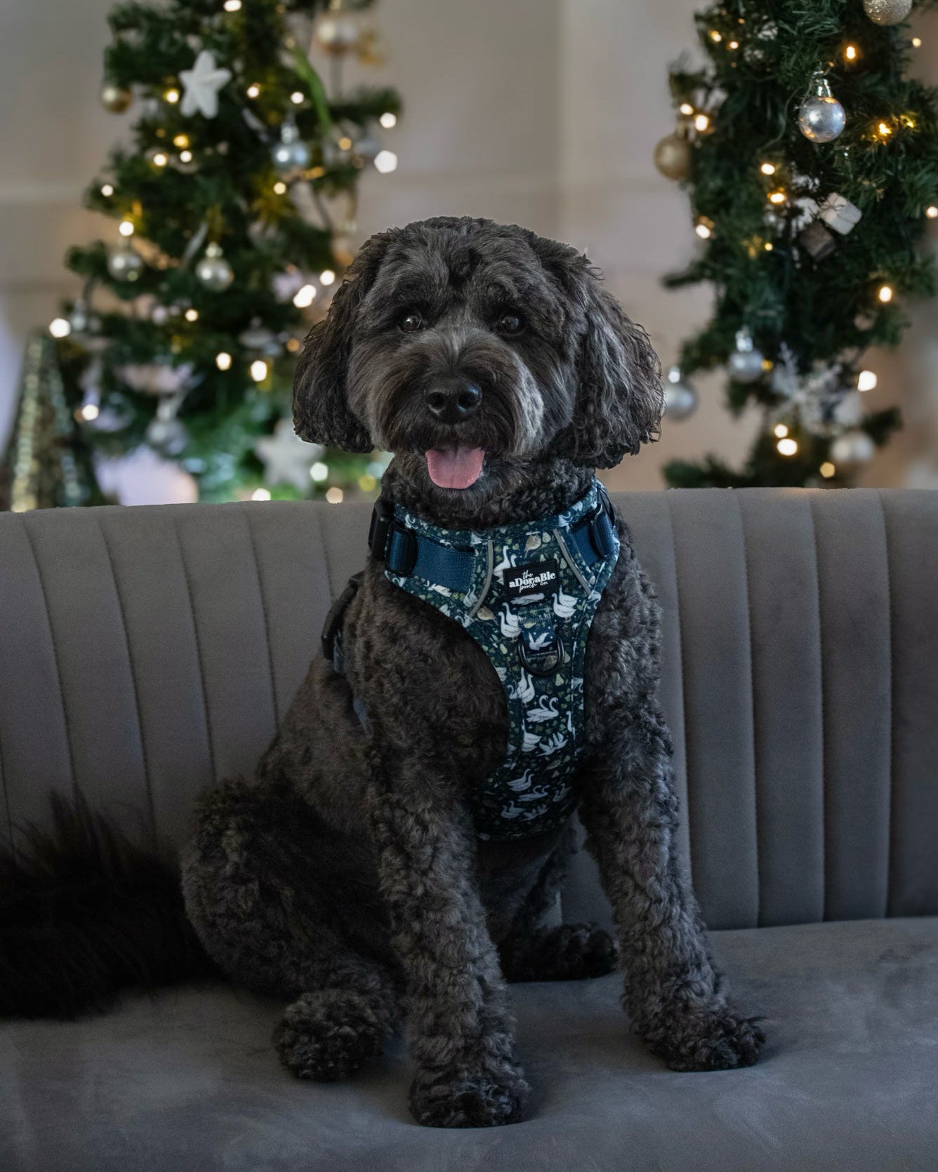 Hike & Go Lite™ Harness - Twelve Days