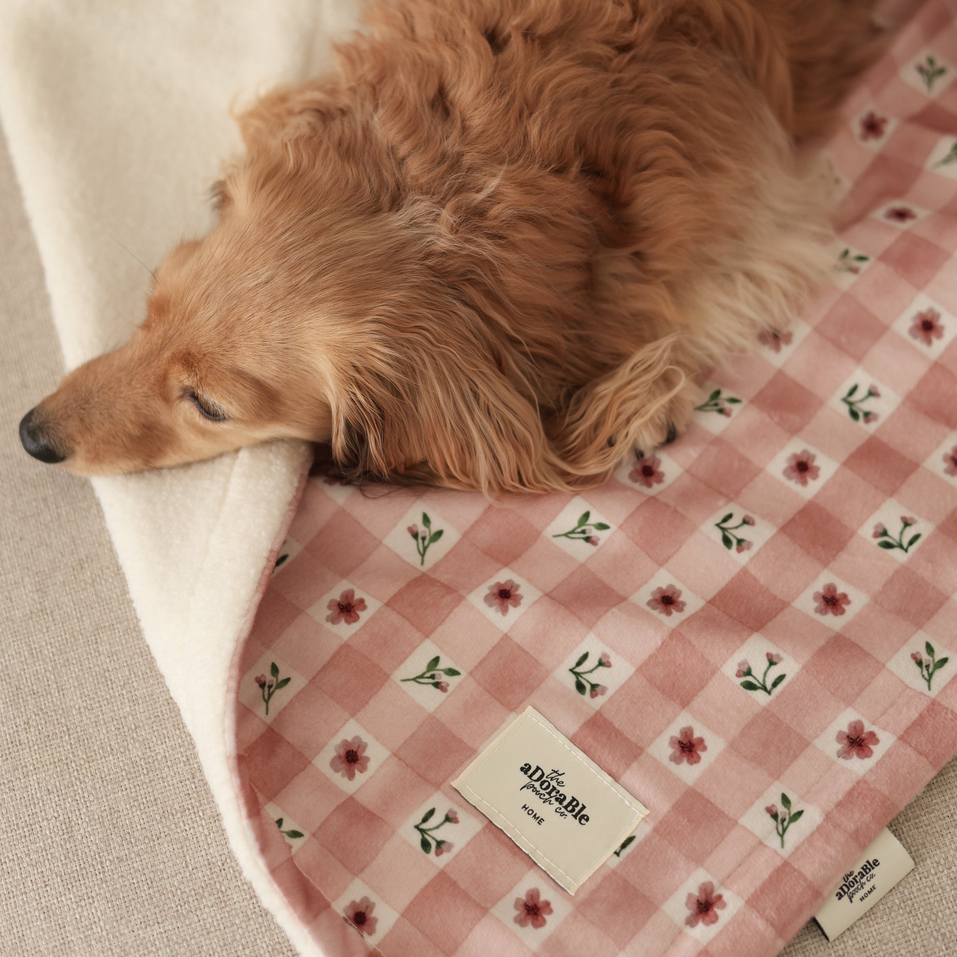 Dog lying on a floral-patterned blanket with a visible brand label.