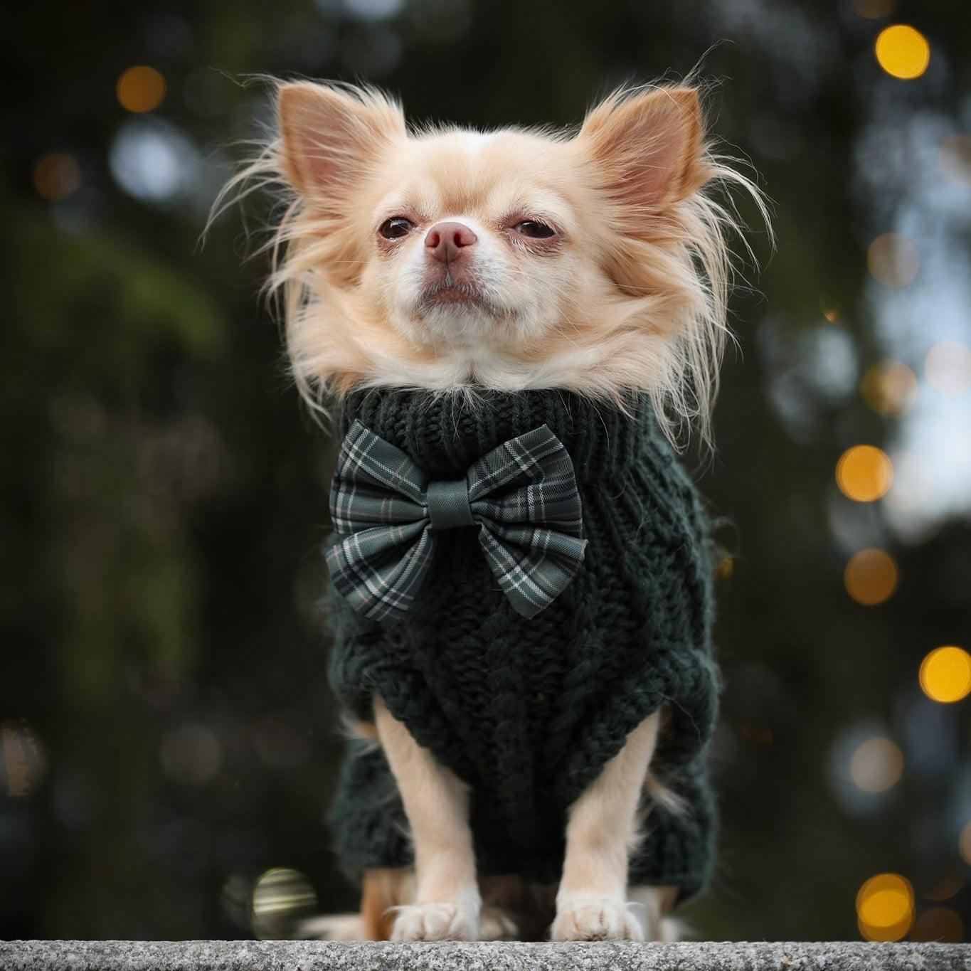 Sailor Bow Tie - LUXE Hunter Green Plaid