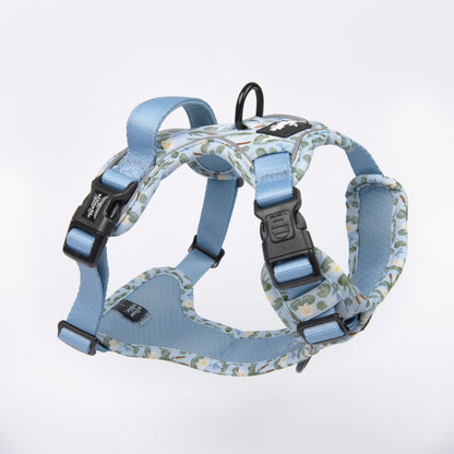 Hike & Go Lite™ Harness - Willow Waters