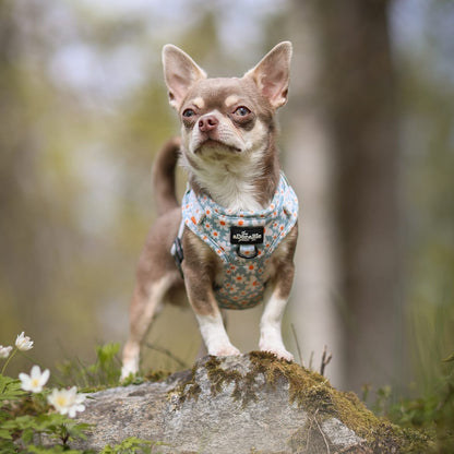 Adjustable Harness - Oopsy Daisy