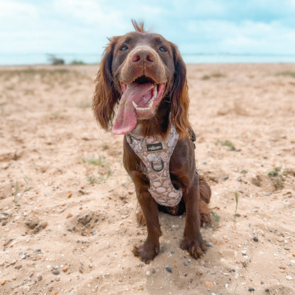 Hike & Go Lite™ Harness - Pebble Bay