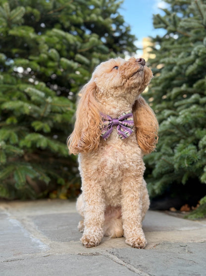 Sailor Bow Tie - Moonlit Pines