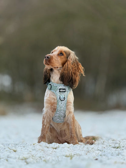 Hike & Go Lite™ Harness - Silent Snowdrops