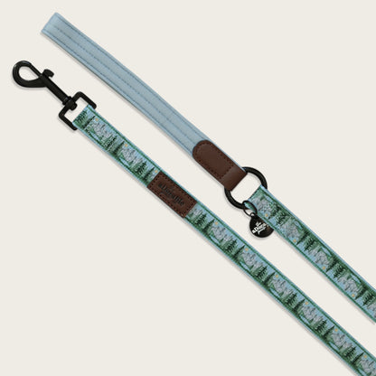 Lead - Daydream Heights