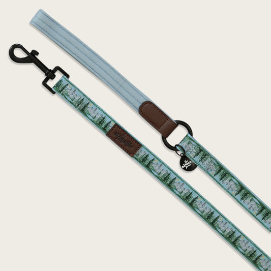 Lead - Daydream Heights