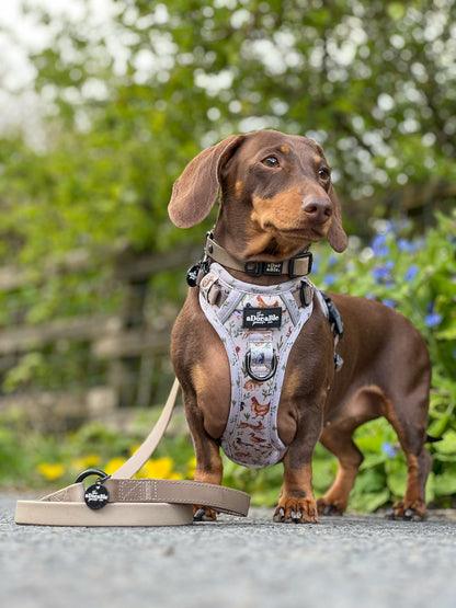 Hike & Go Lite™ Harness - Cotswold Cottage